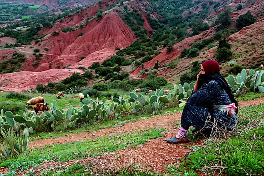 Marrakech: Zipline and Breakfast in the Atlas Mountains - Transport, guides, and the value of a four-hour outing