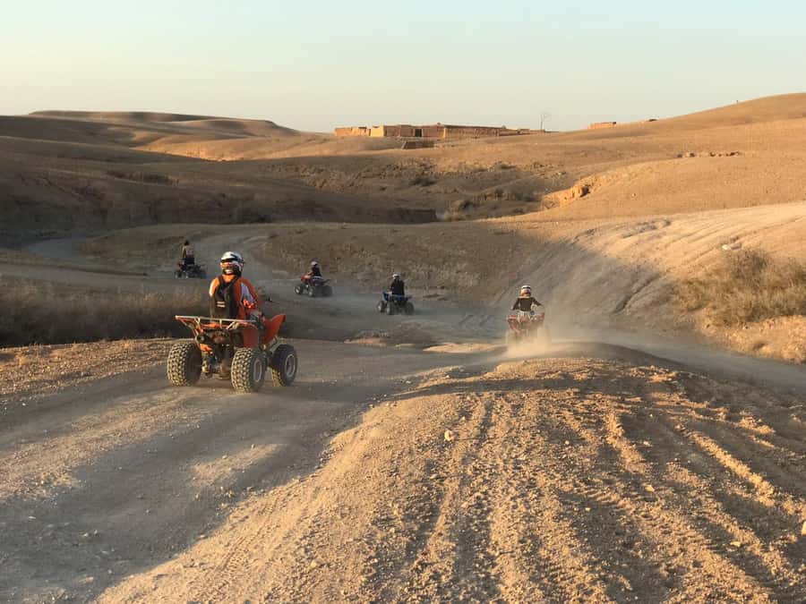 Marrakesh: Agafay Desert Quad & Camel Tour with Dinner - Who should book this outing