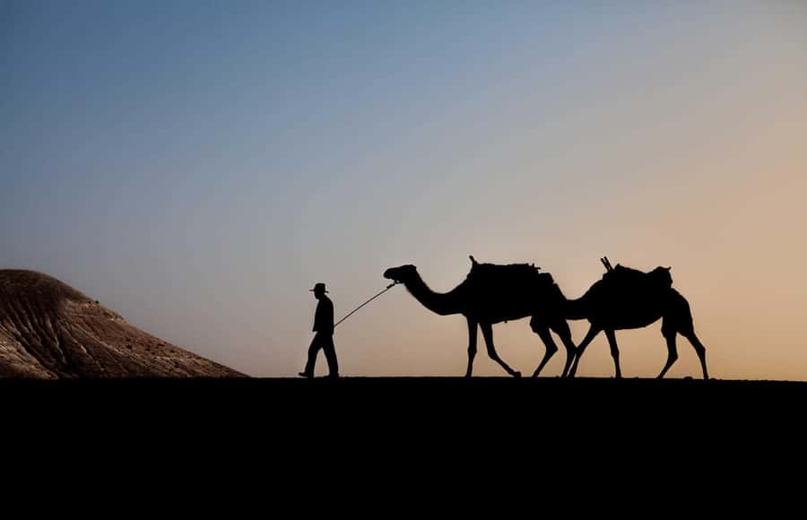 Marrakesh: Agafay Desert Quad & Camel Tour with Dinner - The 45-minute transfer from Marrakesh