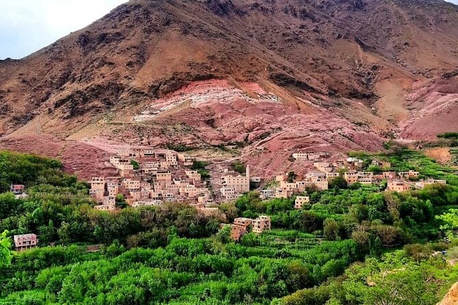 Marrakesh: Atlas Mountains, Imlil Valley & Waterfalls Tour - Lunch with a view of Mount Toubkal