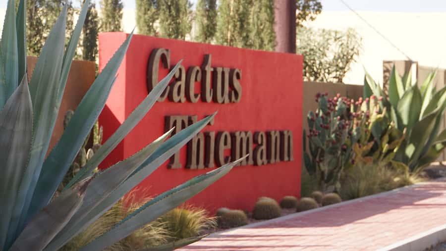 Marrakesh: Cactus Thiemann Entry Ticket - What to bring and what to expect on arrival