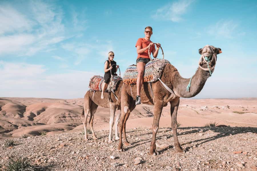 Marrakesh: Desert & Mountain Tour with Camel Ride & Lunch - Key points to know before booking