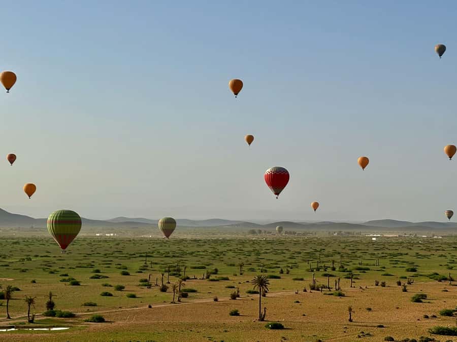 Marrakesh: Early Morning 40-Minute Balloon Flight - A 40-minute flight above Marrakech