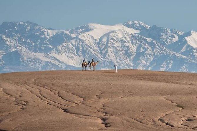 Marrakesh: High Atlas, Agafay desert and Waterfalls Tour - Key points to know before booking