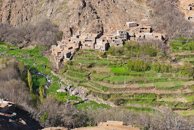 Marrakesh: High Atlas, Agafay desert and Waterfalls Tour - Lunch in a traditional house
