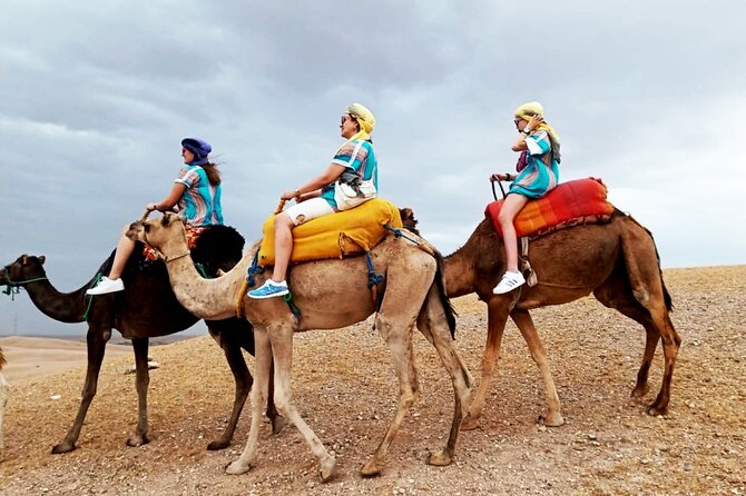 Marrakesh: High Atlas, Agafay desert and Waterfalls Tour - The Agafay stone desert and camel ride