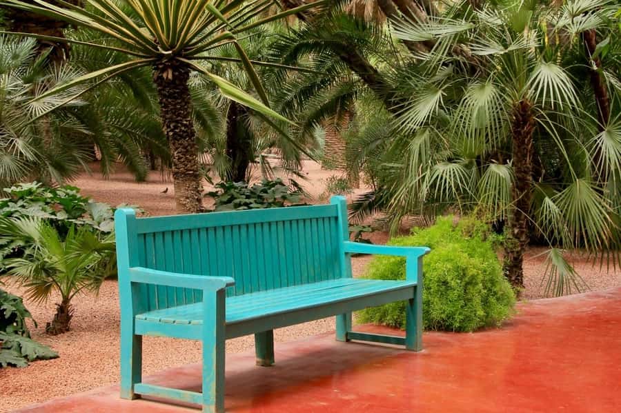 Marrakesh: Majorelle Garden Entry Tickets - Is $31 fair for one hour?