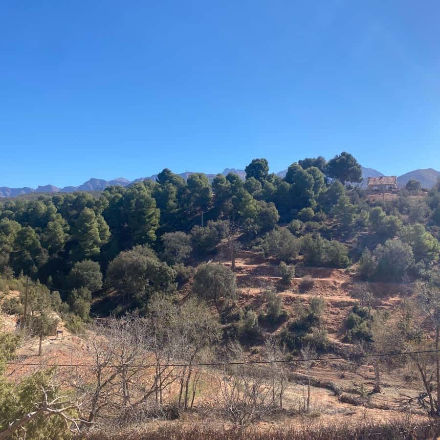 Marrakesh: Ourika Valley Tour & Secret Berber Lunch + Guide - Lunch beside the Ourika River
