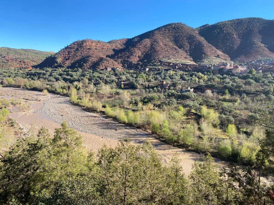 Marrakesh: Ourika Valley Tour & Secret Berber Lunch + Guide - What the $21 price really gives you