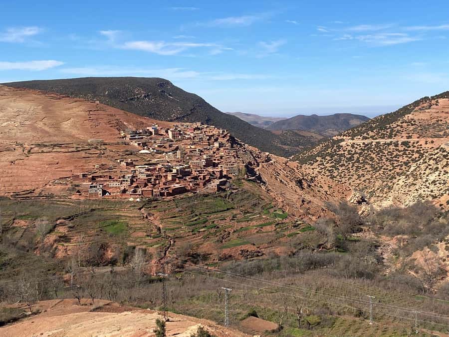 Marrakesh: Ourika Valley Tour & Secret Berber Lunch + Guide - Group size, guides, and comfort