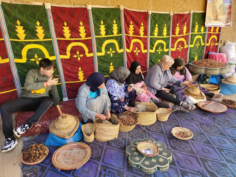 Marrakesh: Ourika Waterfalls, Atlas Mountains, Guide + Lunch - The return drive and the value of the day