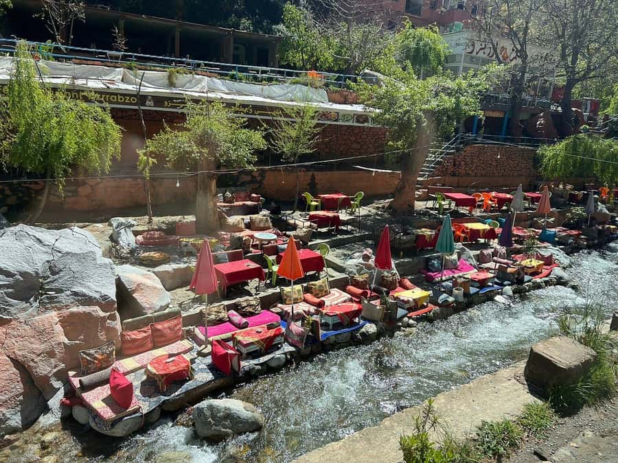 Marrakesh: Ourika Waterfalls, Atlas Mountains, Lunch + Guide - Who will enjoy this day most