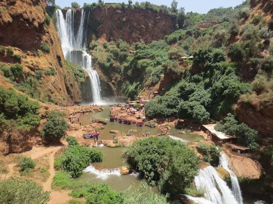 Marrakesh: Ouzoud Waterfalls Trip with Hike & Boat Option - The olive-tree walk and monkey stop