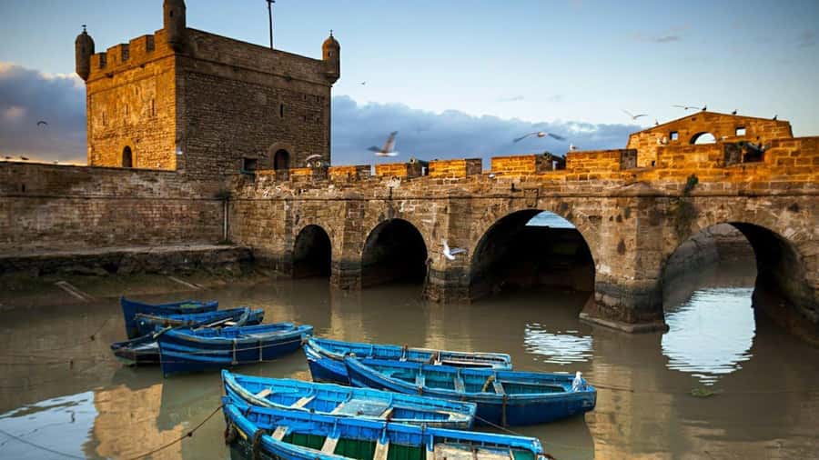 Marrakesh to Essaouira: Small-Group Day Trip & Cooperatives - Why Essaouira makes a good coastal escape from Marrakesh