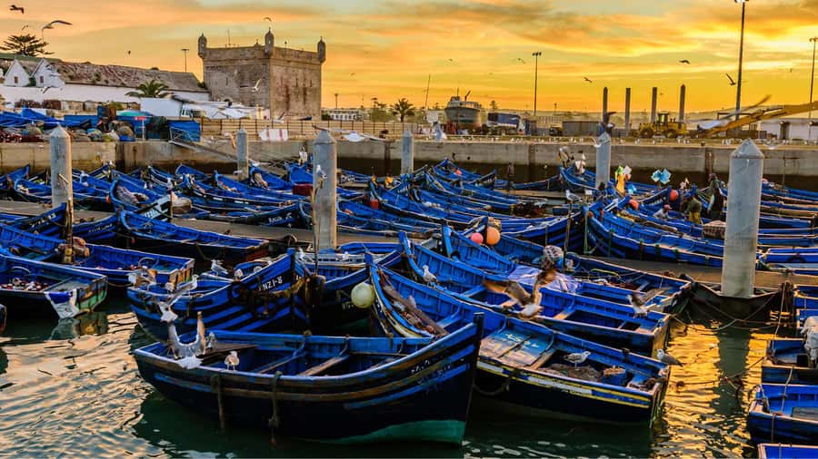Marrakesh to Essaouira: Small-Group Day Trip & Cooperatives - Entering the compact Essaouira medina