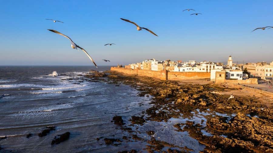 Marrakesh to Essaouira: Small-Group Day Trip & Cooperatives - Lunch at the harbor or in the medina