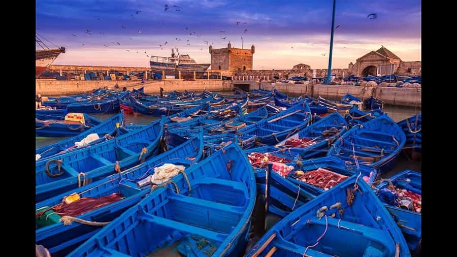 Marrakesh to Essaouira: Small-Group Day Trip & Cooperatives - Who will enjoy this day trip most