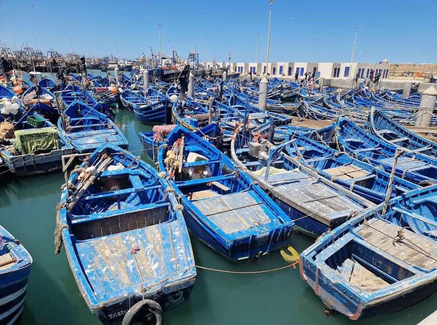 Marrakesh to Essaouira: Small-Group Day Trip & Cooperatives - The argan cooperative stop