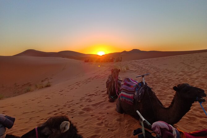 Marrakesh to Fez 3-Day with Overnight merzouga Desert Camping - The Guides and Drivers Matter on a Route Like This