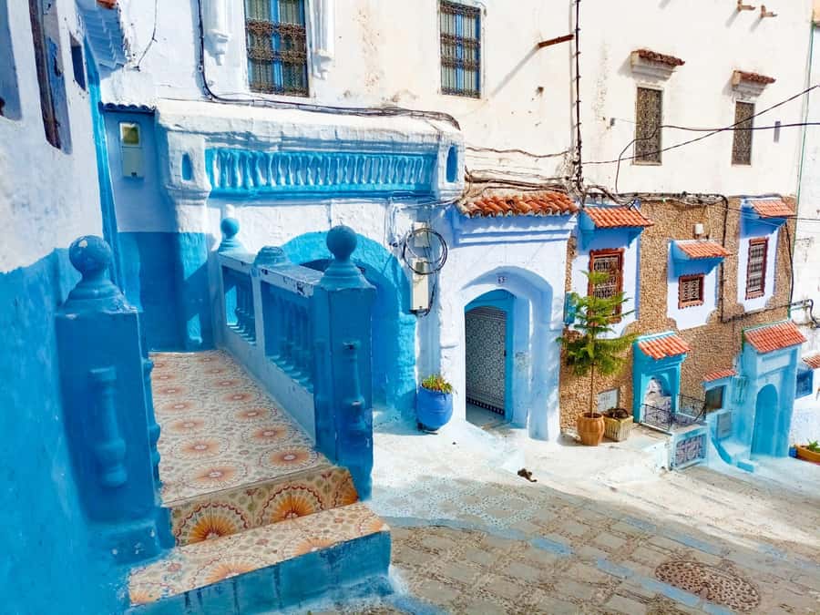 Memorable Day Trip From Fez to Chefchaouen the Blue City - Lunch, shopping, and the value of free time