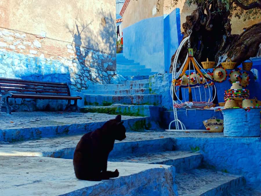Memorable Day Trip From Fez to Chefchaouen the Blue City - The early road from Fez to the Rif Mountains