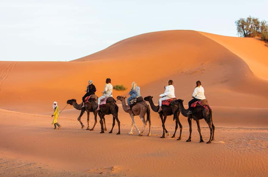Merzouga: 1-Night in Desert Camp With Dinner & camel ride - What to pack for this particular night