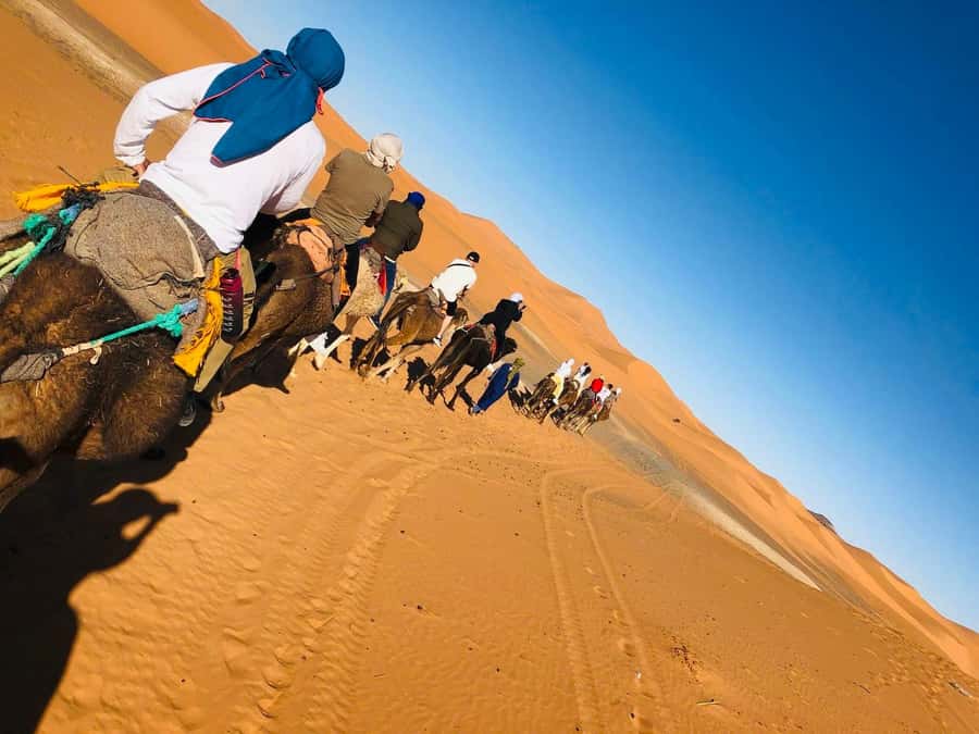 Merzouga: 1-Night in the luxury camp. camel ride & Dinner - Sunrise gives you a second desert experience