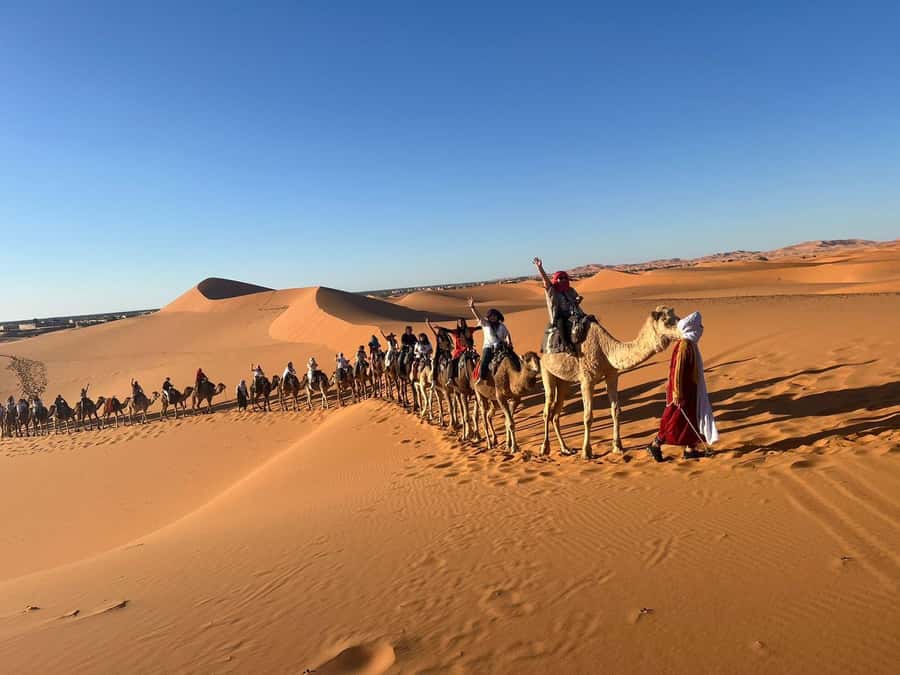 Merzouga: 1-Night in the luxury camp. camel ride & Dinner - Price, timing, and what you actually receive