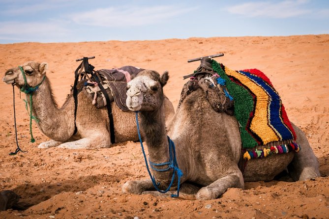 Merzouga 3-Days Desert Tour from Marrakech - From Marrakech to the Tizi-n-Tichka Pass