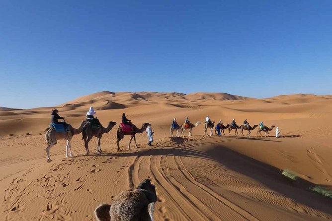 Merzouga 3-Days Desert Tour from Marrakech - Dades Gorge and the road of 1,000 Kasbahs