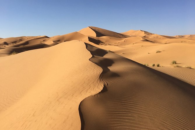 Merzouga 3-Days Desert Tour from Marrakech - Todra Gorge and the oasis walk