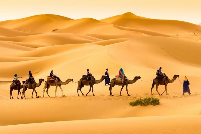 Merzouga 3-Days Desert Tour from Marrakech - Sunrise, the return camel ride, and the long road home