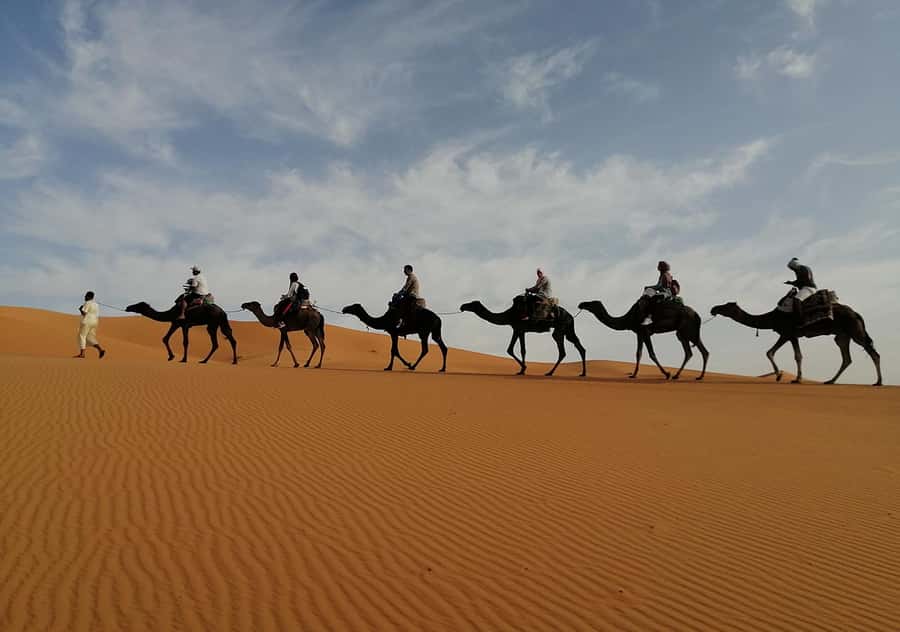 Merzouga Desert: 3-Day Desert Tour from Marrakech - Guides, vehicles, and the human side