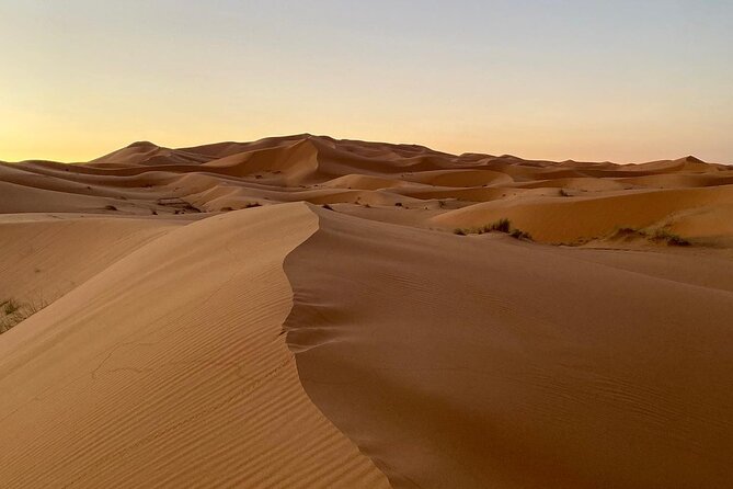 Merzouga Desert Quad bike Adventure with Sand boarding - Riding into the Erg Chebbi dunes
