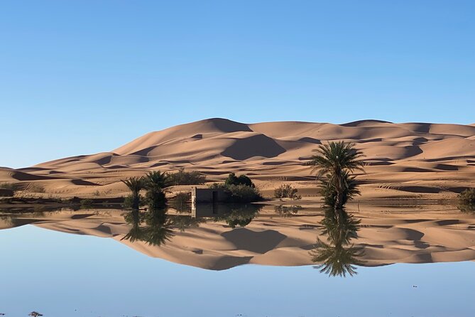 Merzouga Jeep 4WD Desert Tour: Sahara Adventure - Timing, pickup, and group size