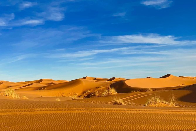 Moroccan Desert 3-Day Luxury Tour from Marrakech - The real price of reaching the Sahara