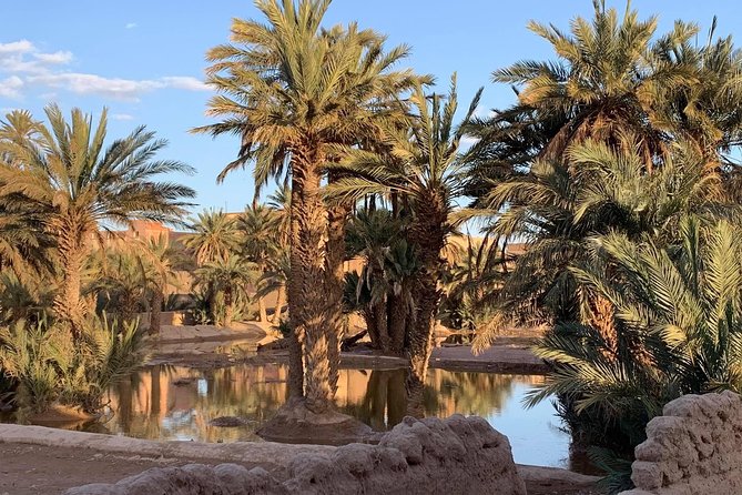 Moroccan Desert 3-Day Luxury Tour from Marrakech - Day three: sunrise, departure, and the long road home