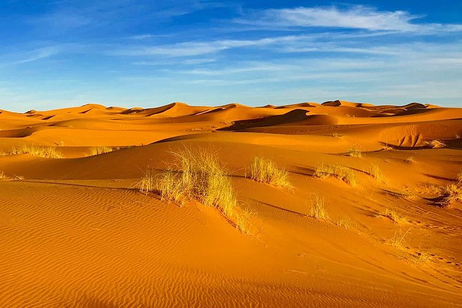 Moroccan Desert 3-Day Luxury Tour from Marrakech - What the guide and vehicle mean for your experience