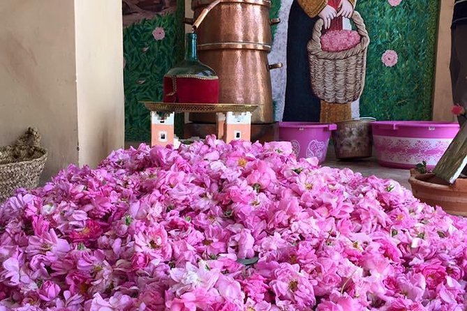Morocco 11 Days Tour from Casablanca via Sahara Desert - Fez, Morocco’s maze of old streets