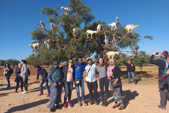 Morocco 11 Days Tour from Casablanca via Sahara Desert - Todra Gorge and the Dades Valley