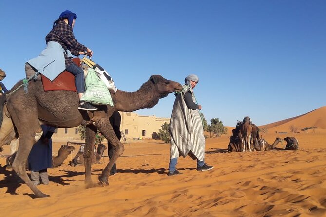 Morocco 12 Days Tour from Casablanca - Two different ways to experience Fez