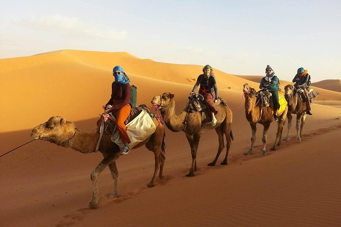 Morocco 9 Days Tour from Casablanca - Marrakech: souks, palaces, and a final free afternoon