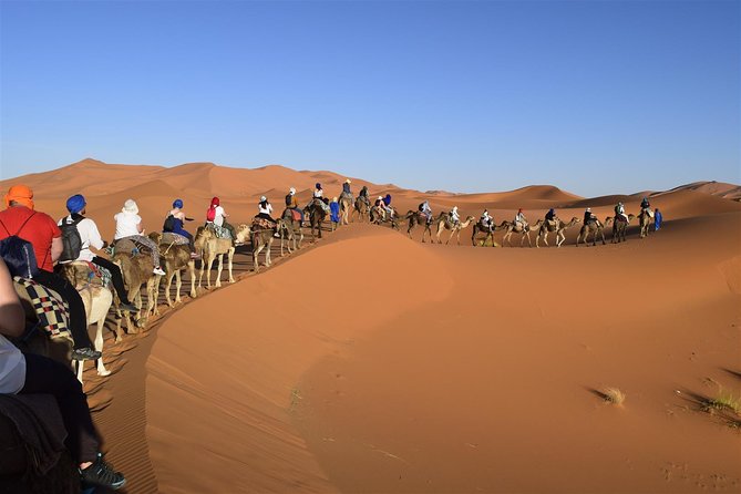 Morocco 9 Days Tour from Casablanca - Fez: a full day inside the old medina