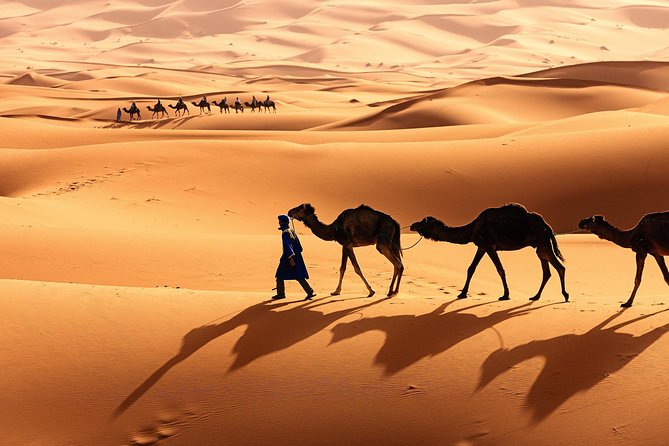 Morocco Top Trips: Luxury 10-Day Private Tour in Morocco - Roman Volubilis and imperial Meknes lead to Fes