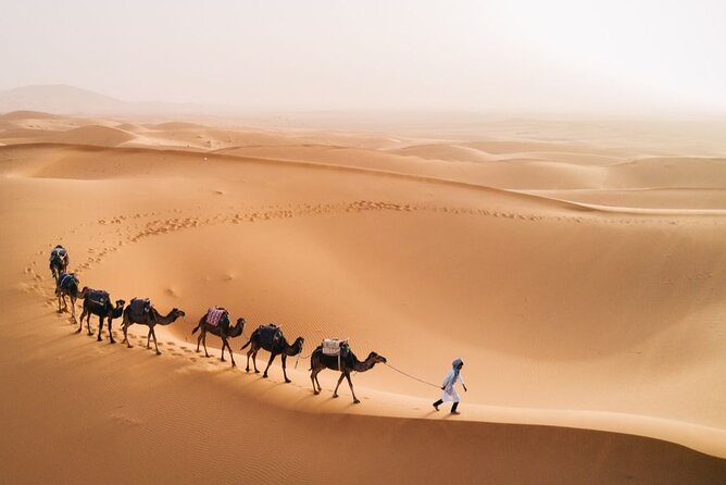 Morocco Tour from Casablanca to Sahara and Marrakech 5 days - Day 2: Four hours inside Fez el-Bali