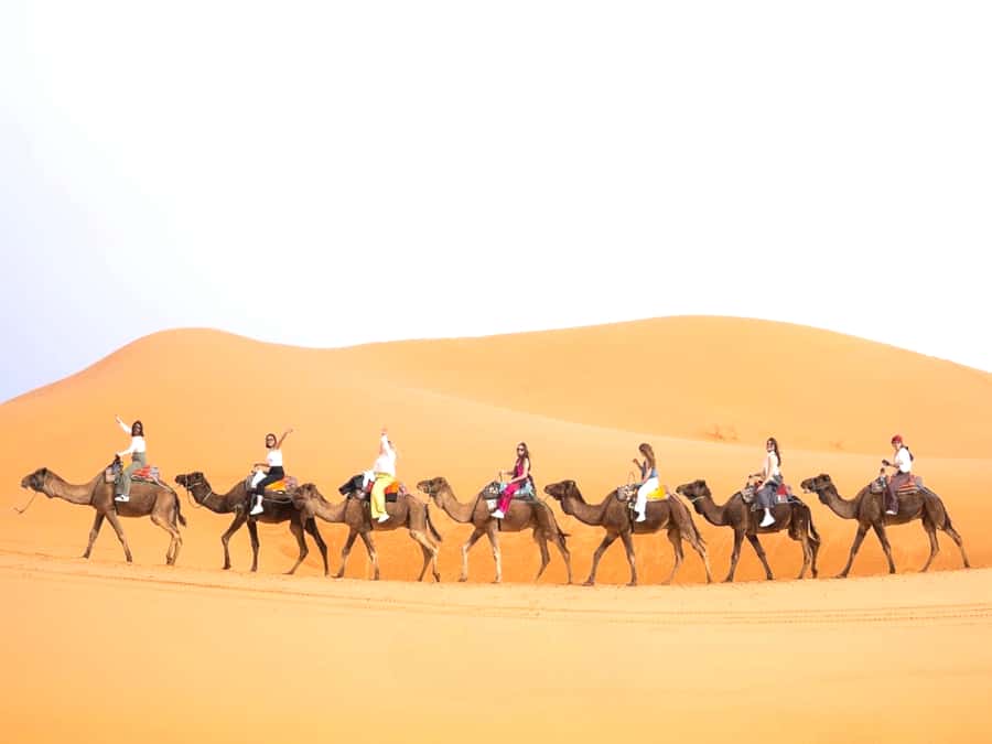 Ouarzazate to Marrakech: 3-Day Desert Tour with Camel Trek - Key points at a glance