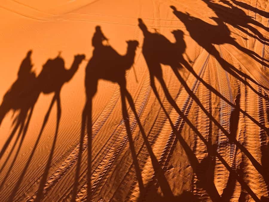 Ouarzazate to Marrakech: 3-Day Desert Tour with Camel Trek - The people this tour suits best