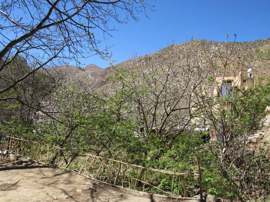 Ourika valley & atlas mountains guided tour from Marrakech - Should you book the Ourika Valley tour?
