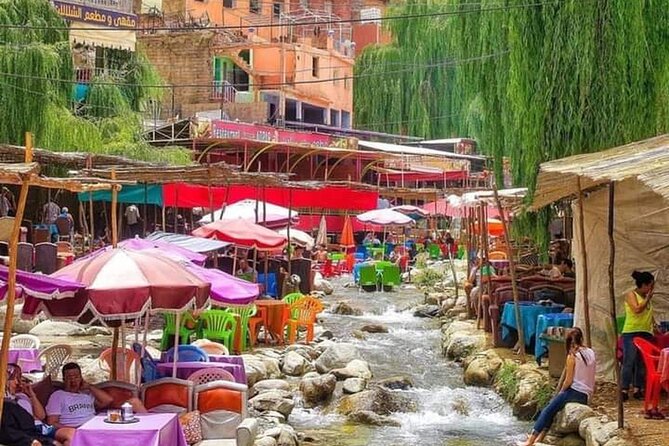 Ourika Valley Day Trip From Marrakech - Ourika Valley Marrakech - Who should book this Ourika Valley day trip
