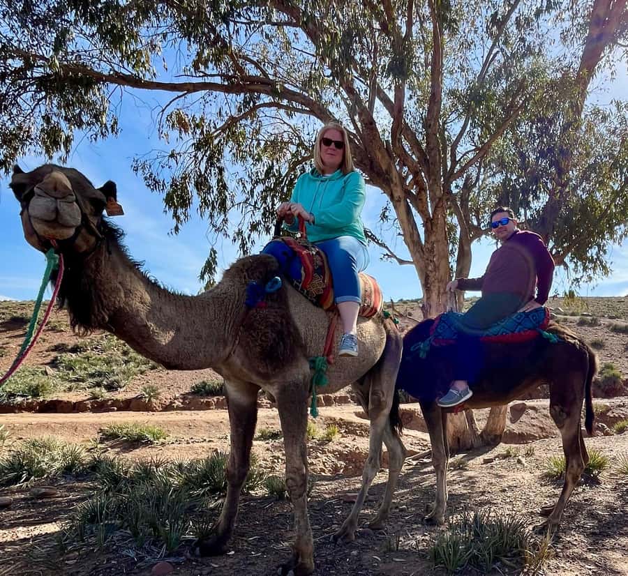 Ourika Valley Private Trip: Lunch, Guide, & Camel Ride - Ourika Valley, river views, and Berber life